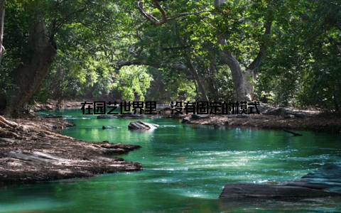 在园艺世界里, 没有固定的模式