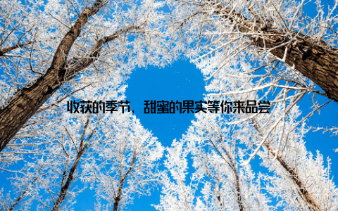 收获的季节, 甜蜜的果实等你来品尝