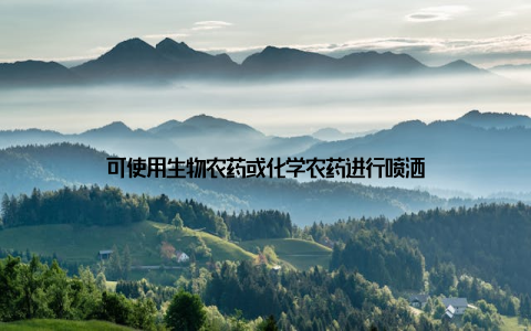 可使用生物农药或化学农药进行喷洒