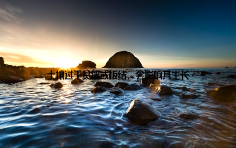 土壤过于贫瘠或板结, 会影响其生长