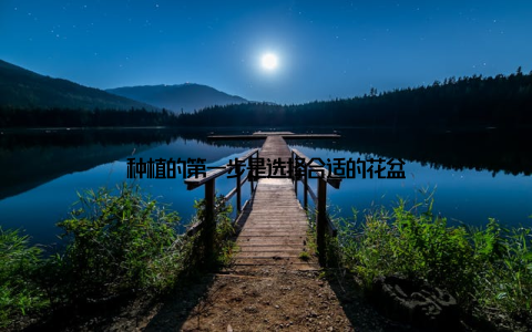 种植的第一步是选择合适的花盆