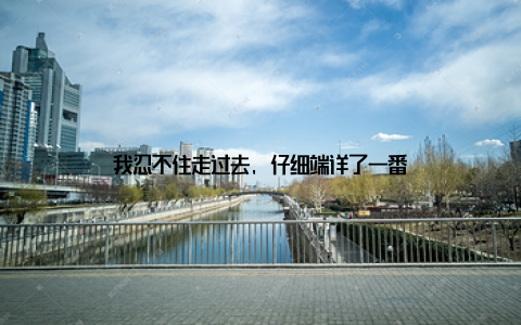 我忍不住走过去, 仔细端详了一番