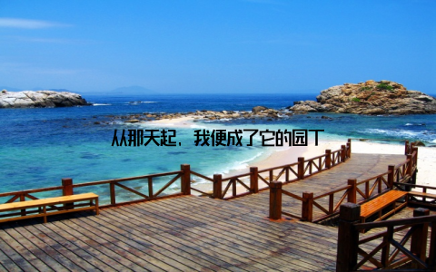 从那天起, 我便成了它的园丁