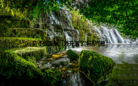 它不仅美丽, 还充满了生活气息