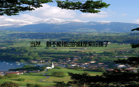 当然, 最不能错过的就是紫珍珠了