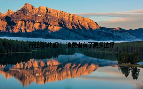 行业竞争加剧, 消费者有了更多选择