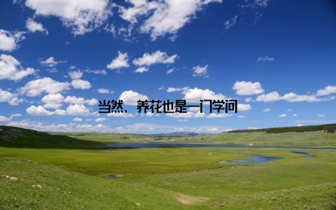 当然, 养花也是一门学问