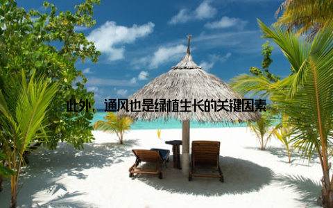 此外, 通风也是绿植生长的关键因素