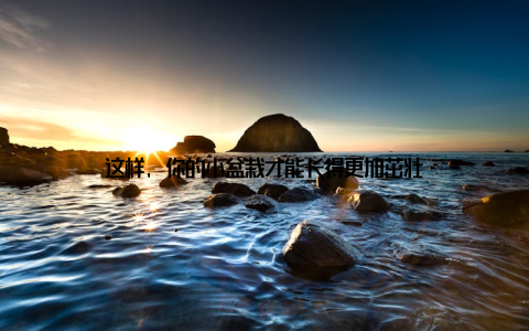 这样, 你的小盆栽才能长得更加茁壮