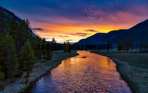 浇水要适量, 保持土壤微湿即可
