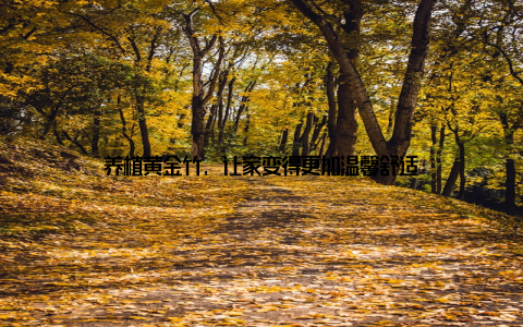 养植黄金竹, 让家变得更加温馨舒适