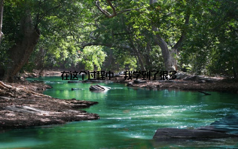 在这个过程中, 我学到了很多