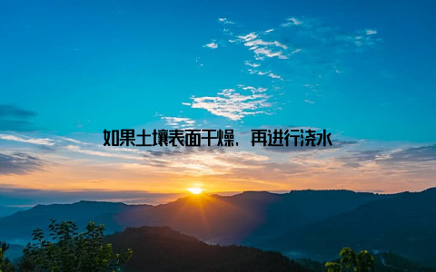 如果土壤表面干燥, 再进行浇水