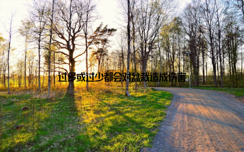 过多或过少都会对盆栽造成伤害