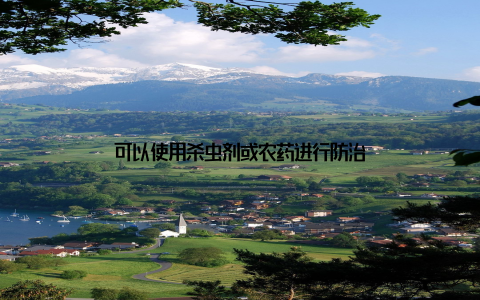 可以使用杀虫剂或农药进行防治