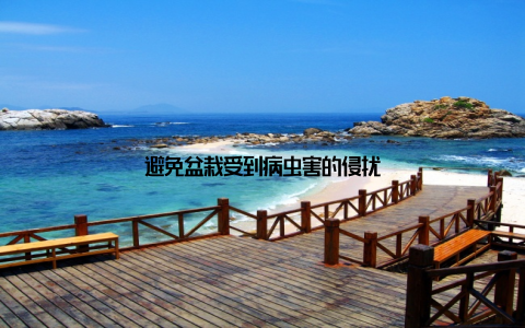 避免盆栽受到病虫害的侵扰