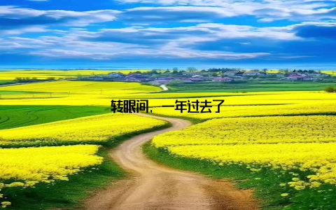 转眼间, 一年过去了