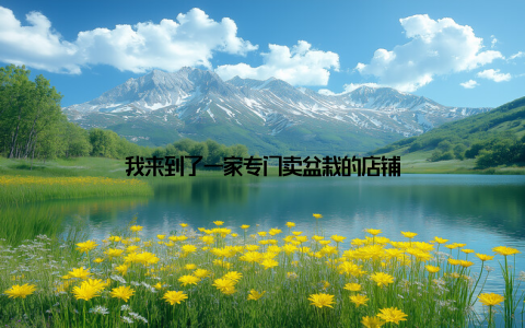 我来到了一家专门卖盆栽的店铺