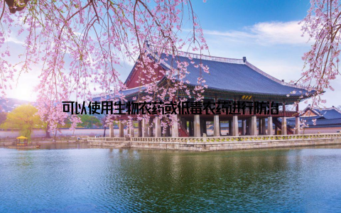 可以使用生物农药或低毒农药进行防治