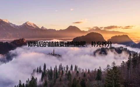 修剪后的植株要适当施肥, 补充养分