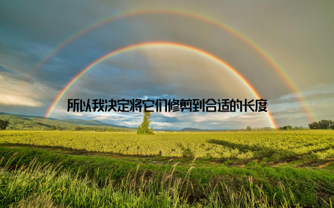 所以我决定将它们修剪到合适的长度