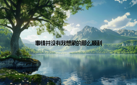 事情并没有我想象的那么顺利