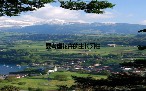 要考虑花卉的生长习性