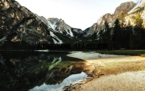 宫粉梅的美丽, 让人心生喜爱