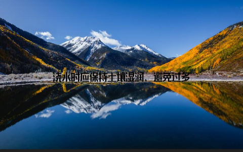 浇水时应保持土壤湿润, 避免过多