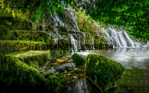 应保持通风透气, 避免过度浇水