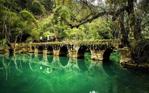 4避免阳光直射, 以免叶片晒伤