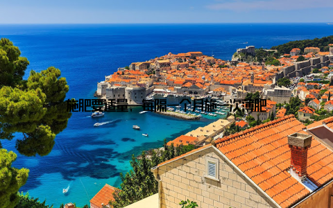 施肥要适量, 每隔一个月施一次薄肥