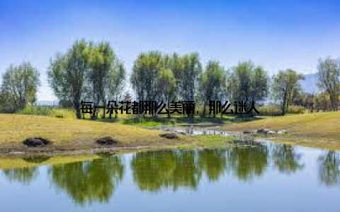 每一朵花都那么美丽, 那么迷人