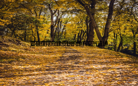 要确保摆放橡皮树的地方空气流通