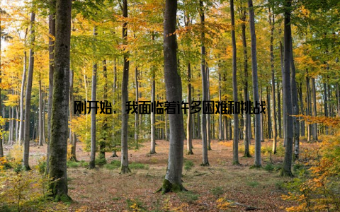 刚开始, 我面临着许多困难和挑战