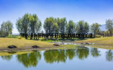 浇水浇水是养护不开花盆栽植物的关键