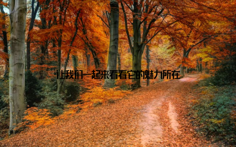 让我们一起来看看它的魅力所在