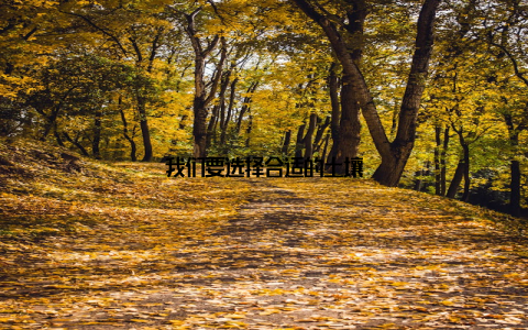 我们要选择合适的土壤