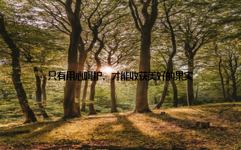 只有用心呵护, 才能收获美好的果实