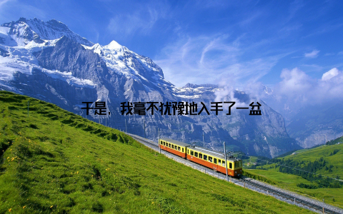 于是, 我毫不犹豫地入手了一盆