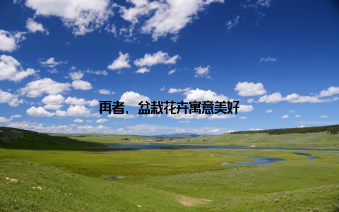 再者, 盆栽花卉寓意美好