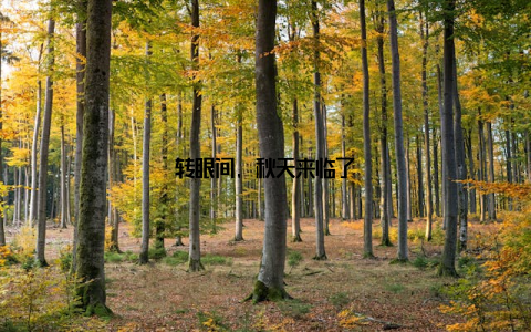 转眼间, 秋天来临了