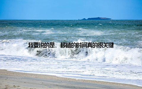 我要说的是, 移植的时间真的很关键