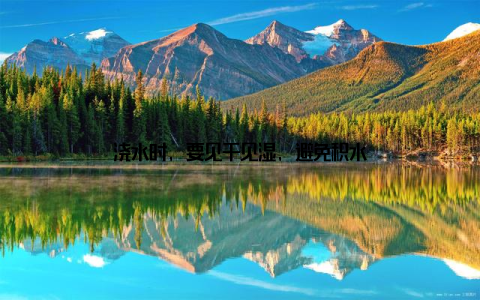 浇水时, 要见干见湿, 避免积水