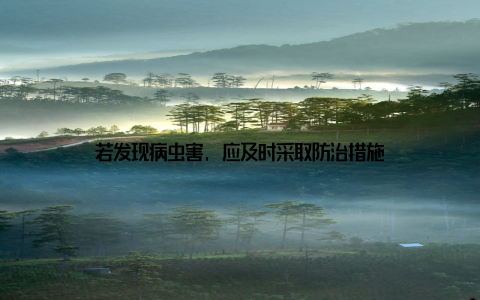 若发现病虫害, 应及时采取防治措施