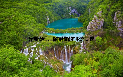 定期修剪, 保持绿植的形态美观