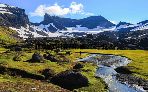 植物盆栽红花却打破了这一观念