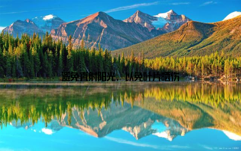 避免直射阳光, 以免叶片晒伤