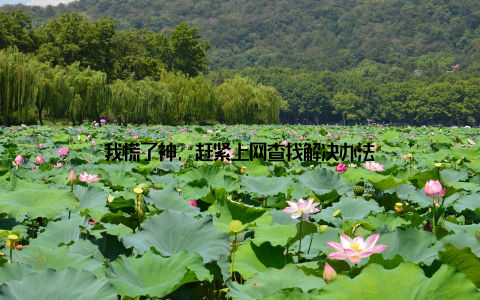 我慌了神, 赶紧上网查找解决办法