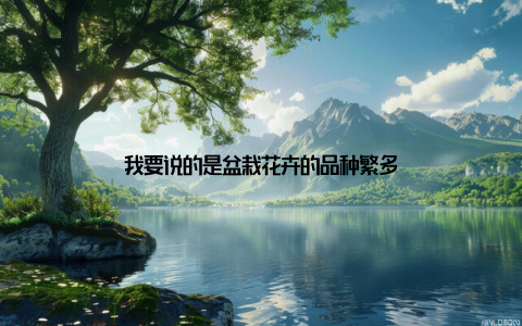 我要说的是盆栽花卉的品种繁多